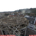 18_10-nest.jpg