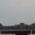 18_15-mast.jpg