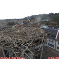 18_20-nest.jpg