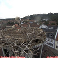 18_40-nest.jpg