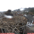 19_05-nest.jpg