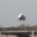 19_10-mast.jpg