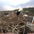19_25-nest.jpg