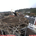 19_40-nest.jpg