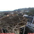 06_30-nest.jpg