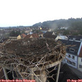06_35-nest.jpg
