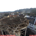 06_40-nest.jpg