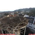 06_45-nest.jpg