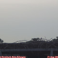 06_55-mast.jpg