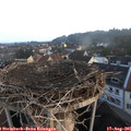 06_55-nest.jpg