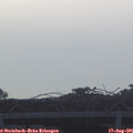 07_00-mast.jpg