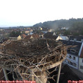 07_00-nest.jpg