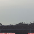 07_05-mast.jpg
