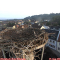 07_10-nest.jpg