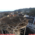 07_20-nest.jpg