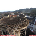 07_30-nest.jpg