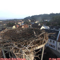 07_35-nest.jpg