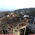 07_40-nest.jpg