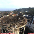 07_45-nest.jpg