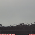 07_50-mast.jpg