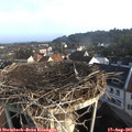 07_50-nest.jpg