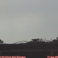 07_55-mast.jpg