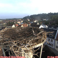 07_55-nest.jpg