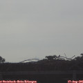 08_05-mast.jpg
