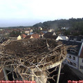 08_10-nest.jpg