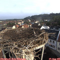 08_15-nest.jpg
