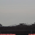 08_20-mast.jpg