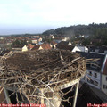 08_20-nest.jpg