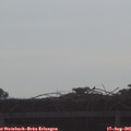 08_25-mast.jpg