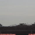 08_30-mast.jpg