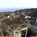 08_30-nest.jpg