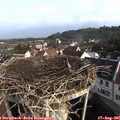 08_35-nest.jpg