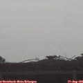 08_40-mast.jpg