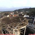 08_40-nest.jpg