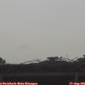 08_45-mast.jpg