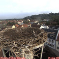 08_45-nest.jpg