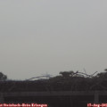08_50-mast.jpg