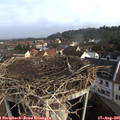 08_50-nest.jpg