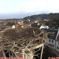 08_55-nest.jpg