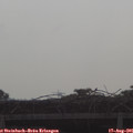 09_00-mast.jpg