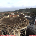 09_00-nest.jpg