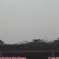 09_05-mast.jpg