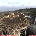 09_05-nest.jpg