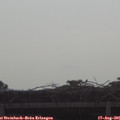 09_10-mast.jpg