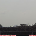 09_15-mast.jpg