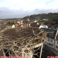 09_15-nest.jpg